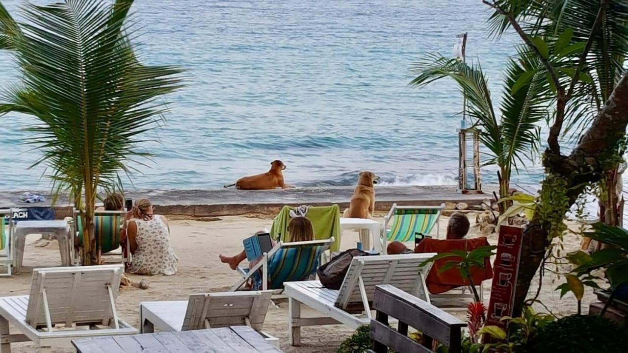 Viking Holiday Resort サメット島 エクステリア 写真